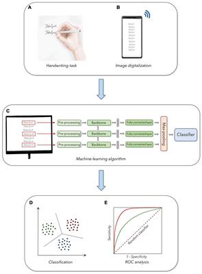 Handwriting Declines With Human Aging: A Machine Learning Study